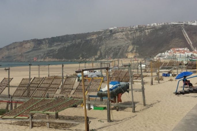 a bench on a sandy beach