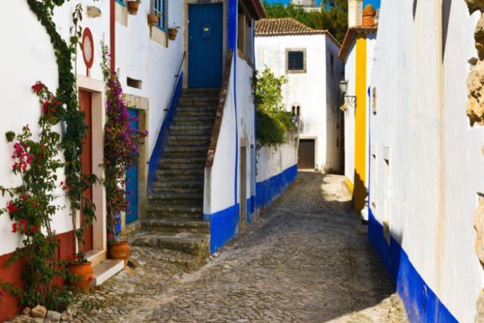 a house with trees in the background
