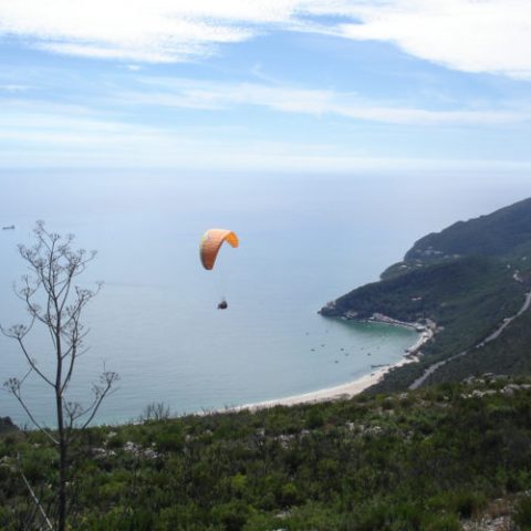 a group of people flying kites in a body of water