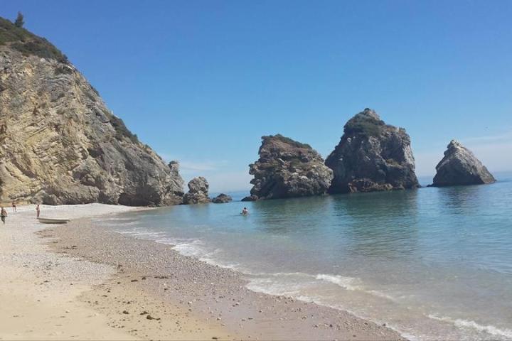 a group of people on a rocky beach
