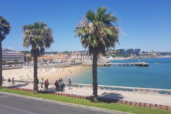a group of people on a beach with palm trees