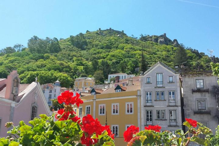 a close up of a flower garden in front of a building