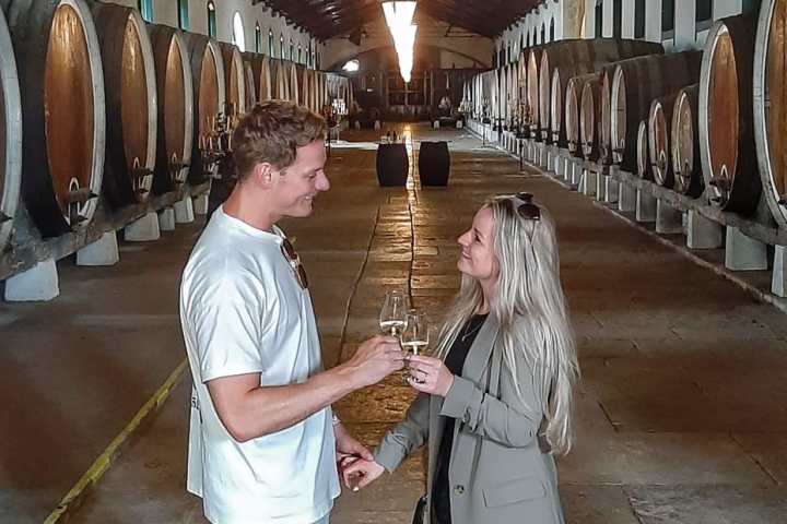 a person wearing a costume