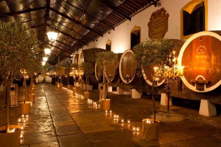 a table with wine glasses