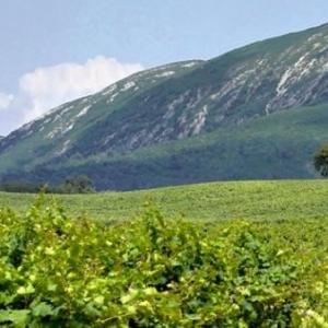 a large green field with a mountain in the background