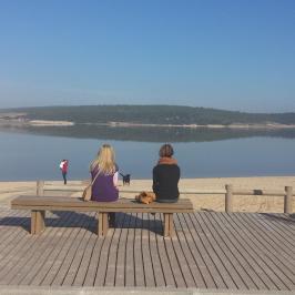 a person sitting on a bench overlooking a beach