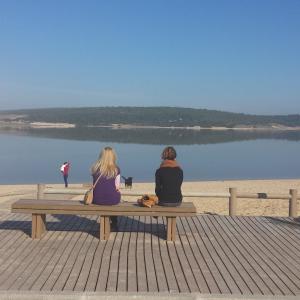 a person sitting on a bench overlooking a beach