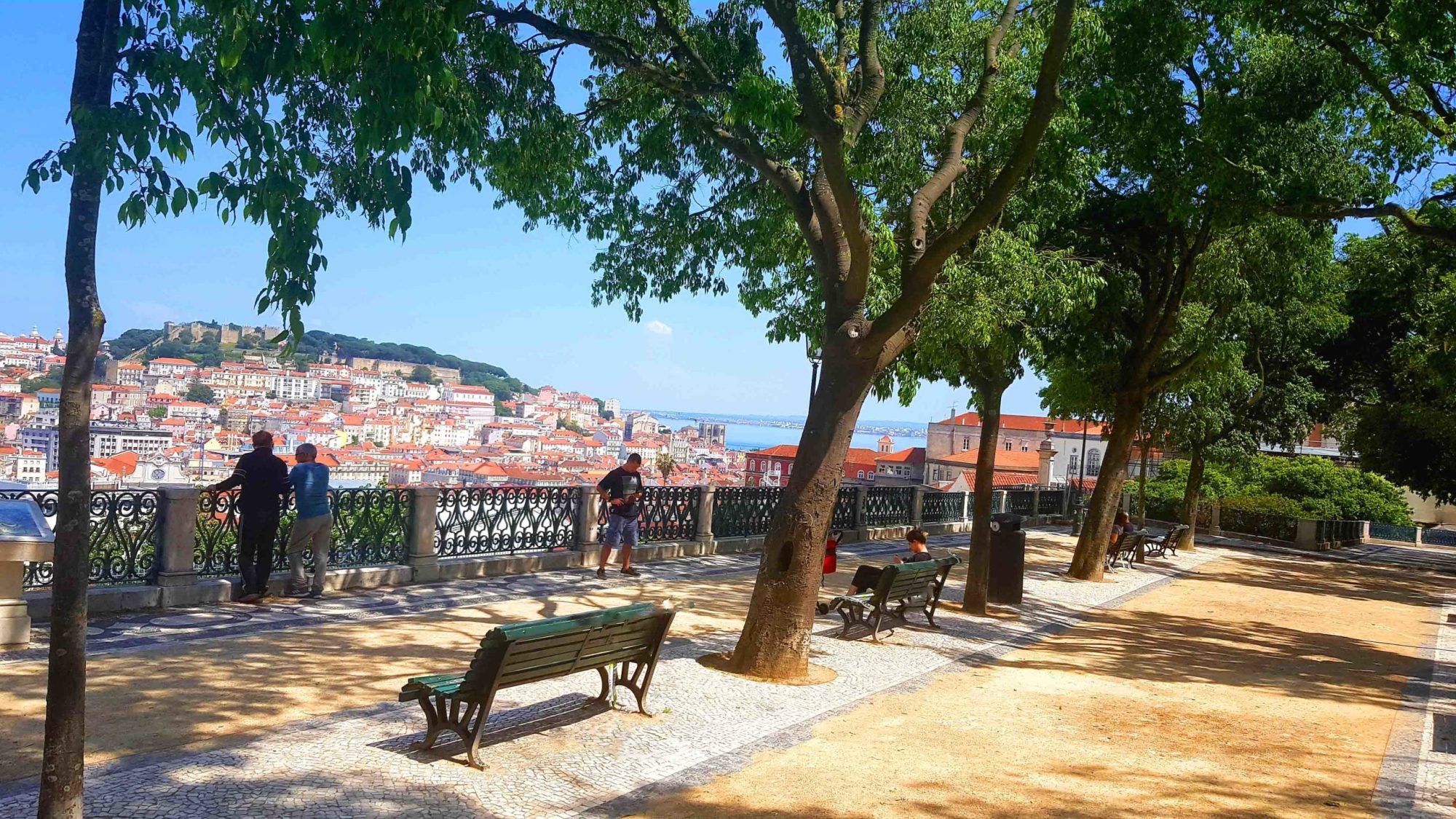 a group of people sitting on a bench in front of a tree