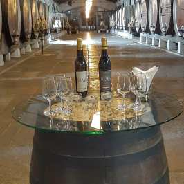 a table with wine glasses