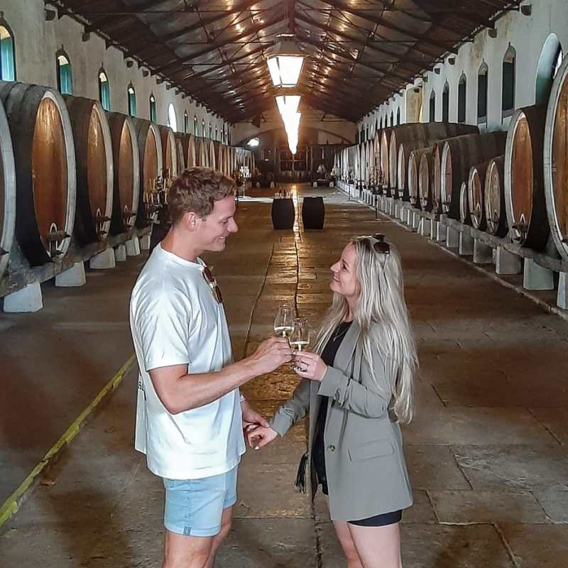 a person wearing a costume