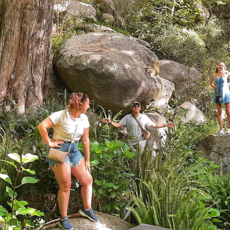 a person sitting on a rock next to a tree