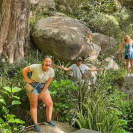 a man sitting on a rock next to a tree