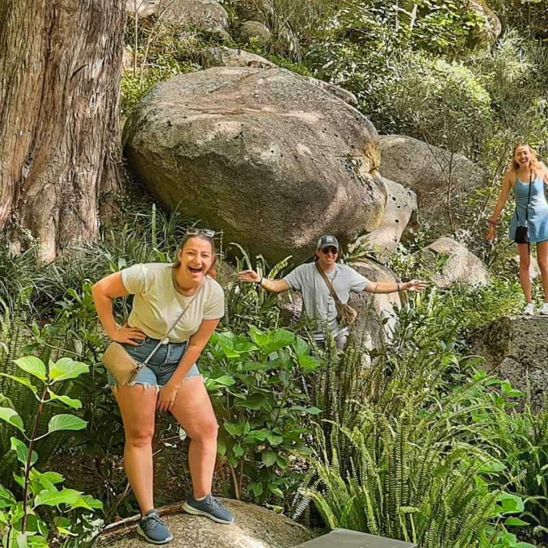 a man sitting on a rock next to a tree