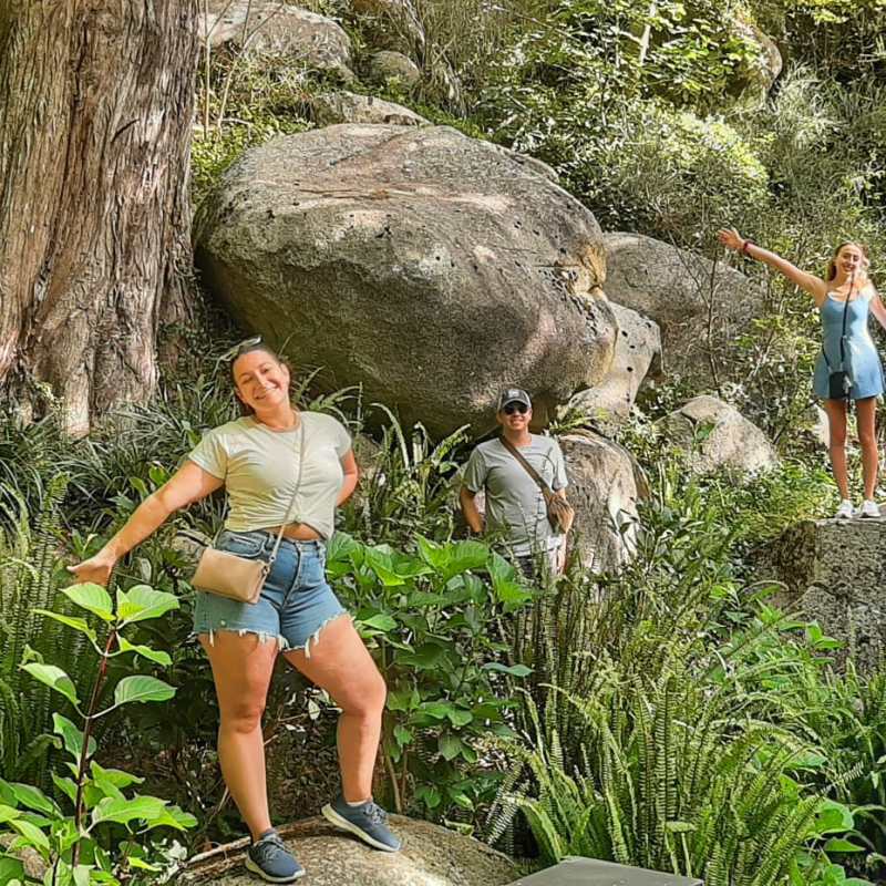 a man sitting on a rock next to a tree
