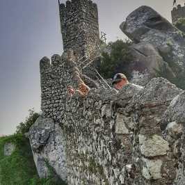 a tree next to a rock wall