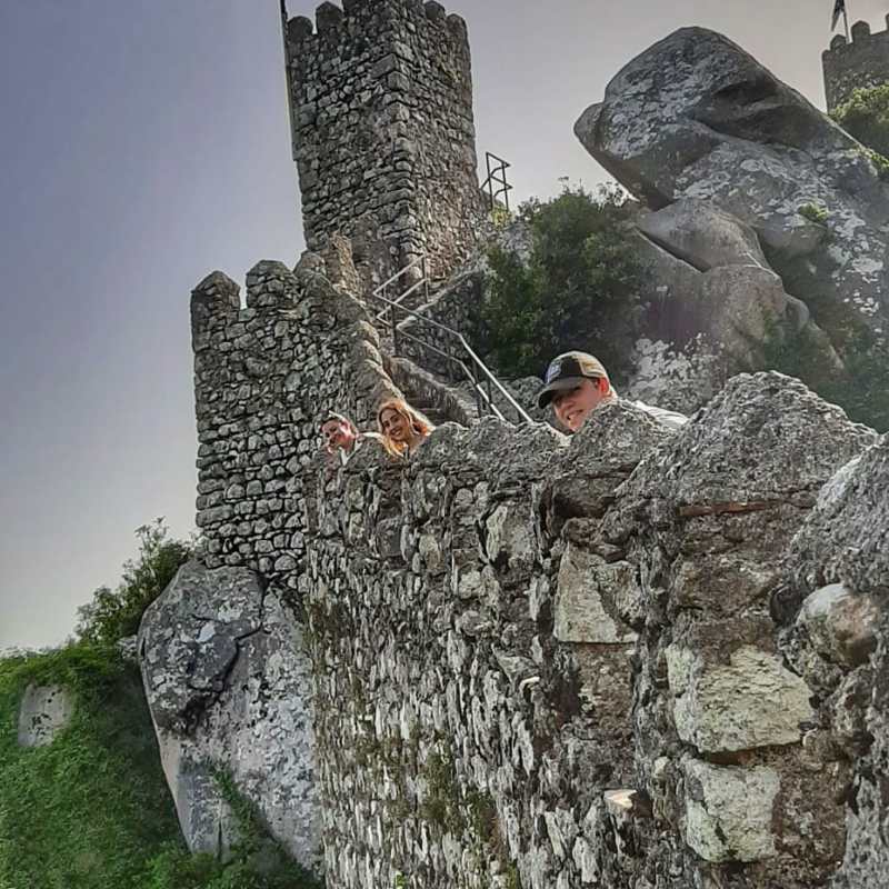 a tree next to a rock wall