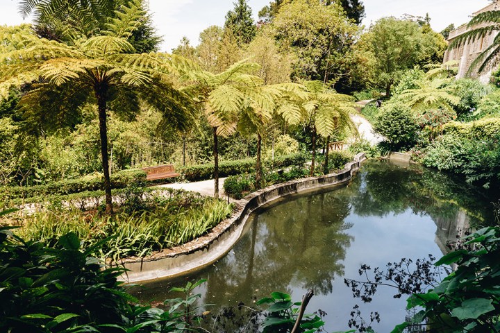 a body of water surrounded by palm trees