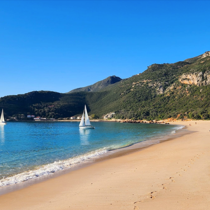 a group of people on a beach near a body of water