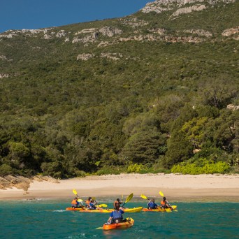 Kayakers paddle towards a sandy beach backed by green hills under a clear blue sky.