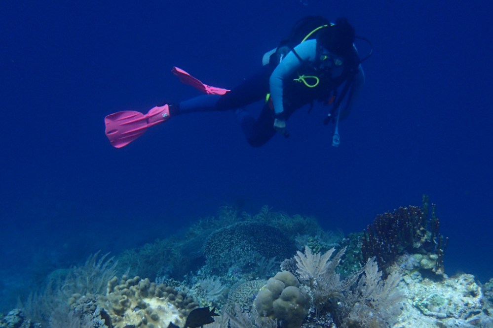 Scuba diver in blue ocean above coral reef with pink fins and diving gear.
