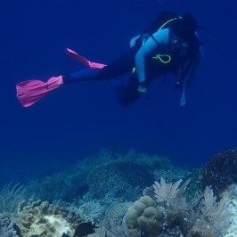 Scuba diver in blue ocean above coral reef with pink fins and diving gear.