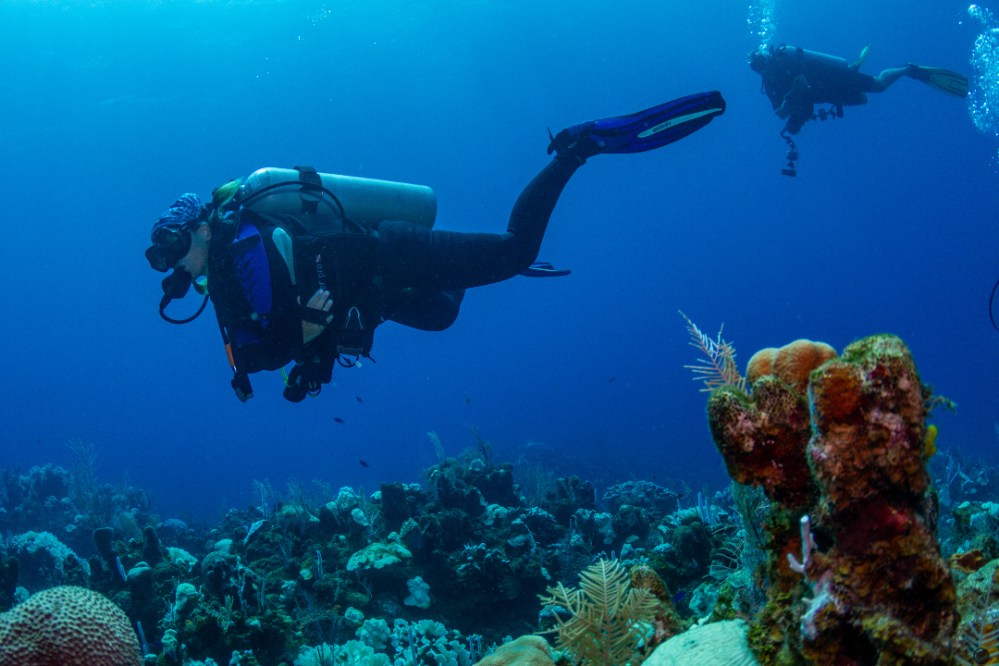 Two scuba divers swimming over a coral reef in clear blue water.