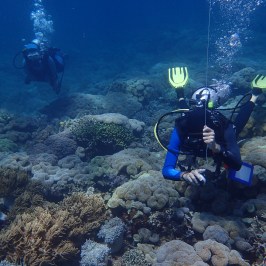 Two scuba divers exploring a vibrant coral reef underwater.