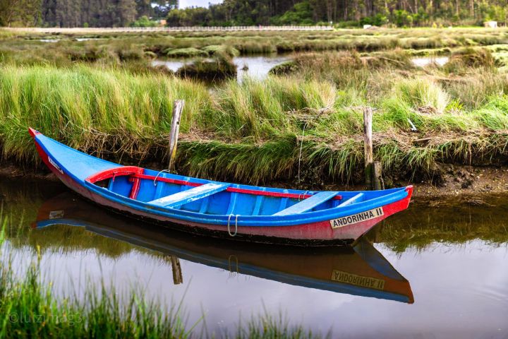 Colourful moliceiro boat on the canal in Aveiro