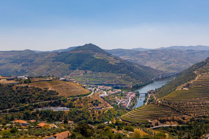 Terraced vineyards in the Douro Valley