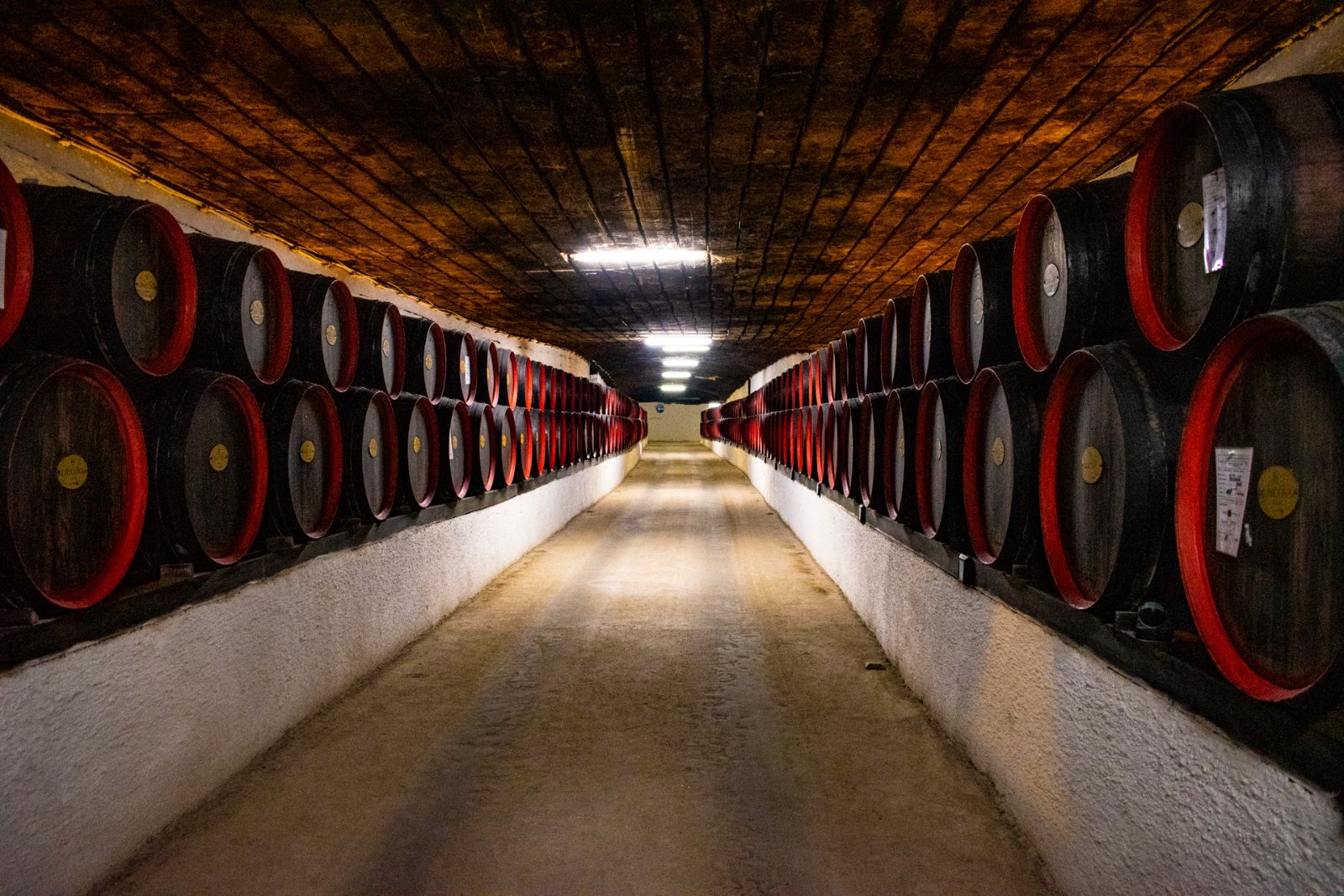 Wooden wine barrels in a cellar corridor, the setting of a Sintra wine tasting